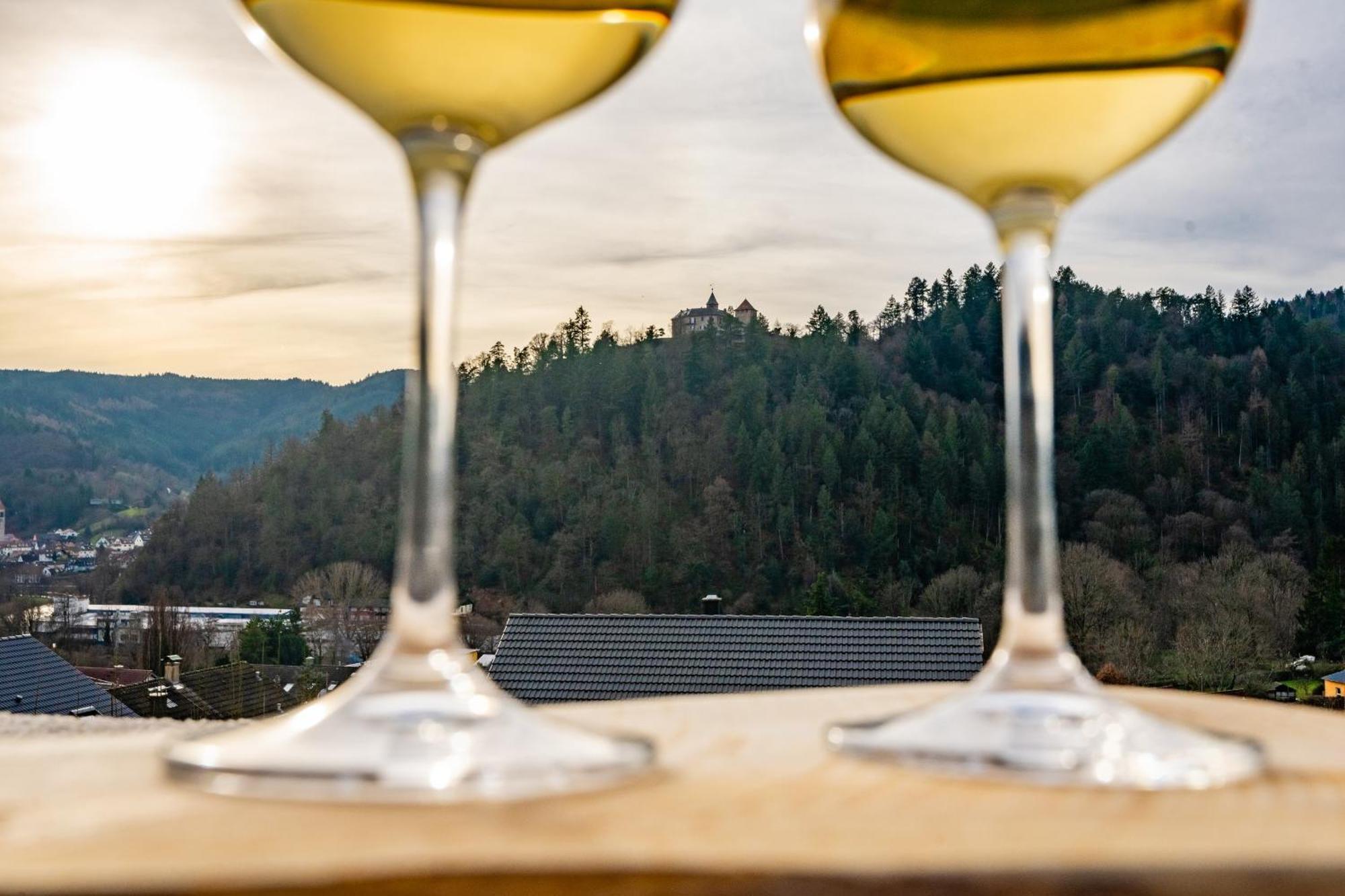 Schlossblick Schwarzwaldpanorama * Gernsbach
